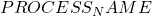 PROCESS_NAME